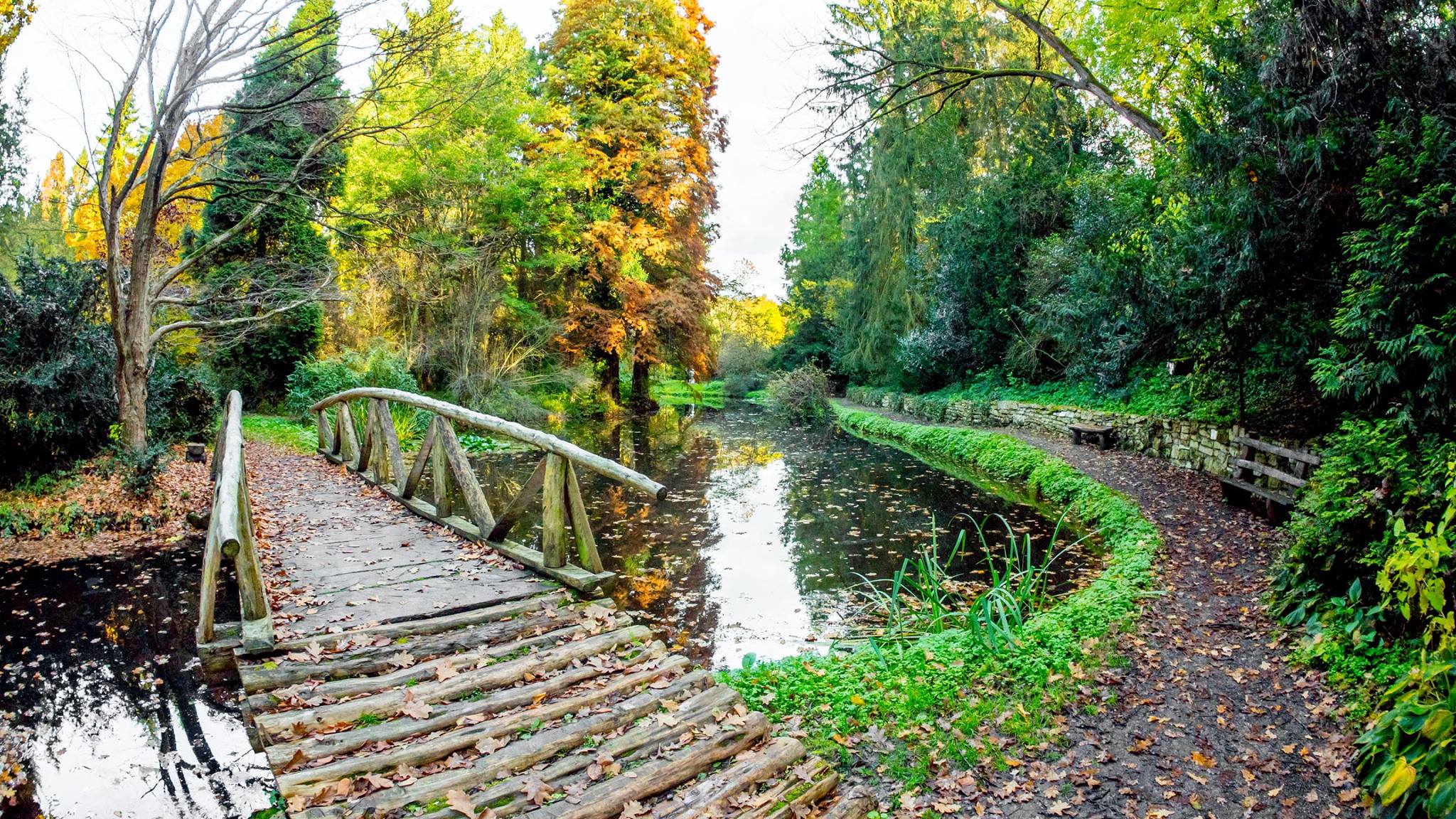 , Obiective turistice, unice în România, pot fi admirate în județul Hunedoara