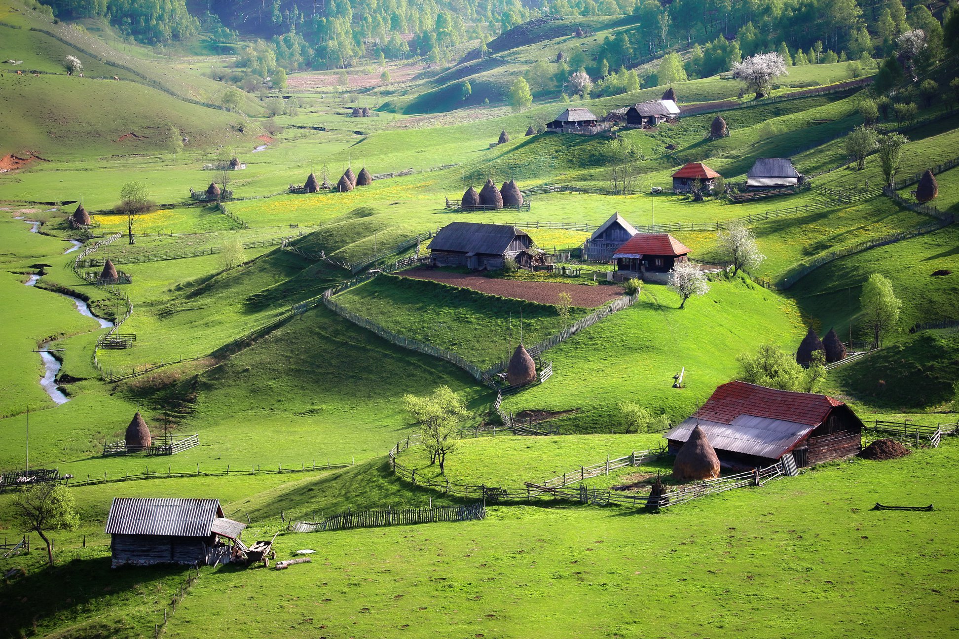 , Obiective turistice, unice în România, pot fi admirate în județul Hunedoara