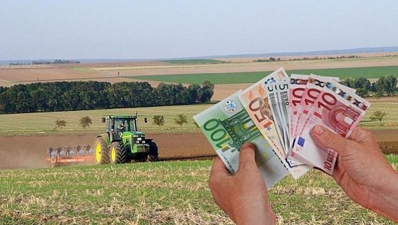Au fost autorizate plățile aferente schemelor de sprijin cuplat în sectorul vegetal, pentru  Campania 2021