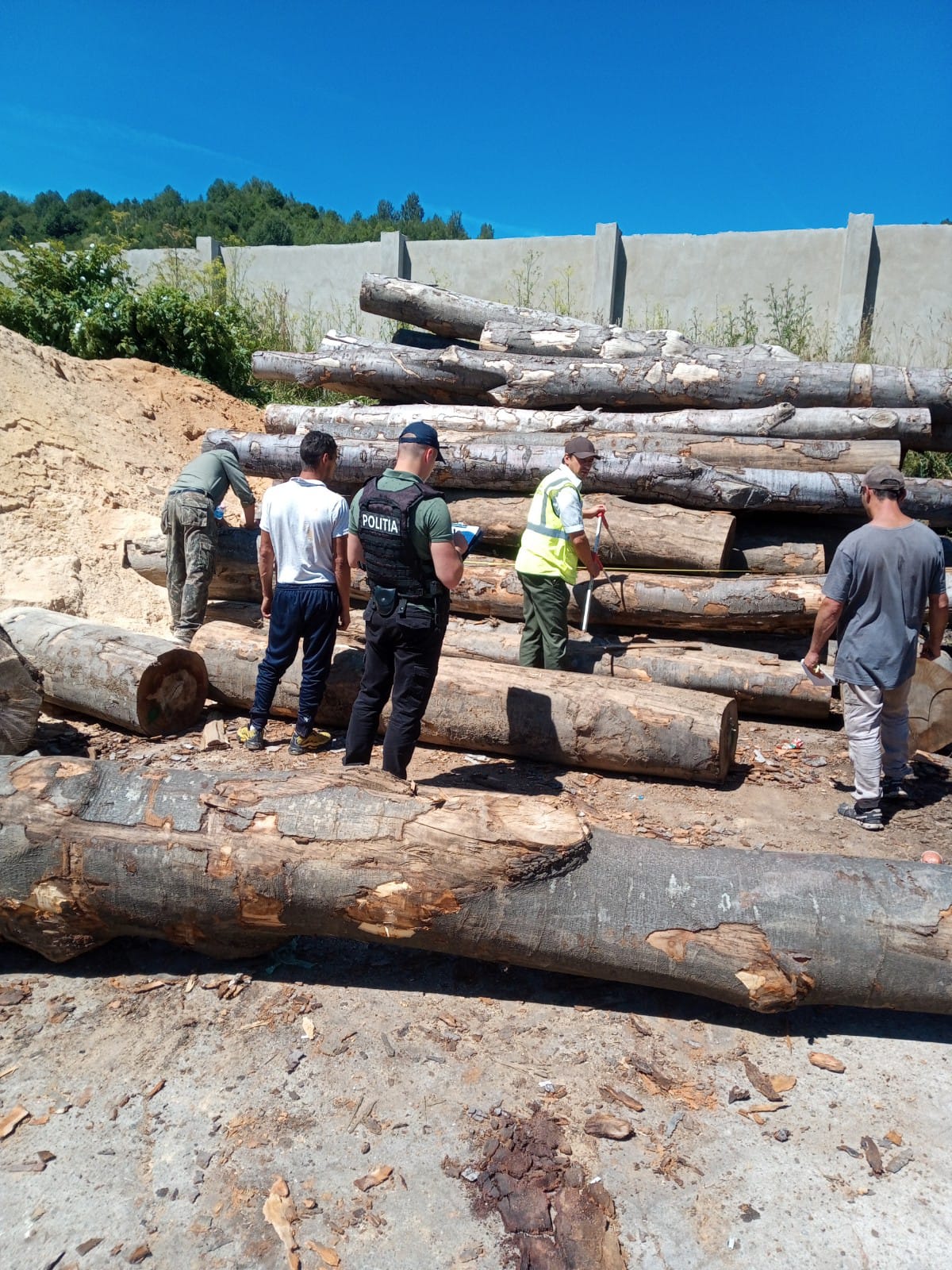 Infracțiuni silvice, în zona Brad: Amenzi de 18.000 de lei și zeci de metri cubi de lemn confiscat