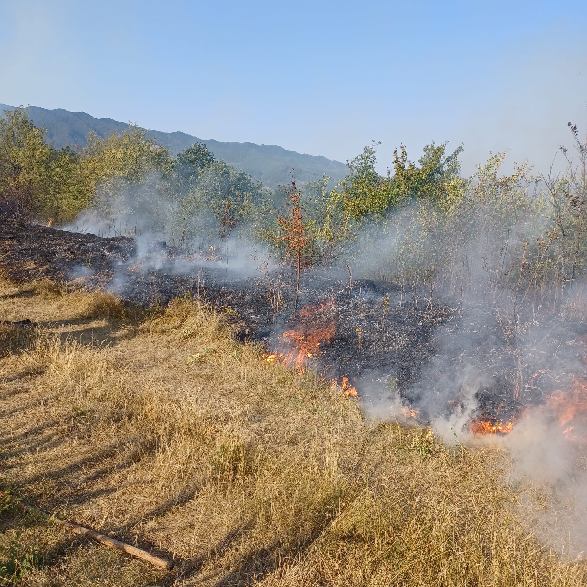 110 hectare de teren, mistuite de flăcări, în ultimele 24 de ore