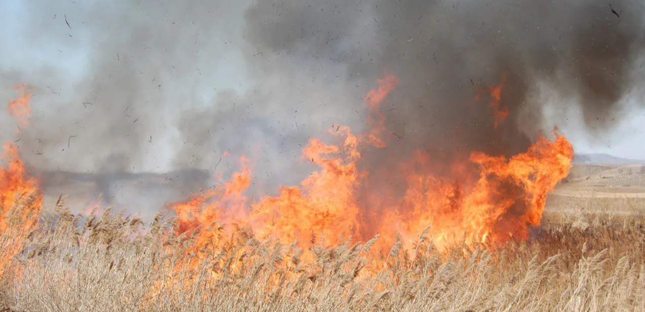 Intervenții ale pompierilor hunedoreni la incendii de vegetație uscată, în mai multe localități din județ