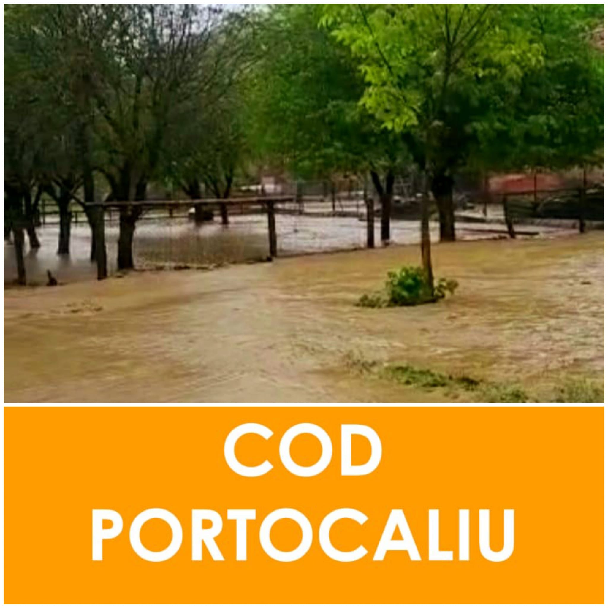 Cod portocaliu de inundații. La nivelul ISU Hunedoara s-a activat Grupa Operativă