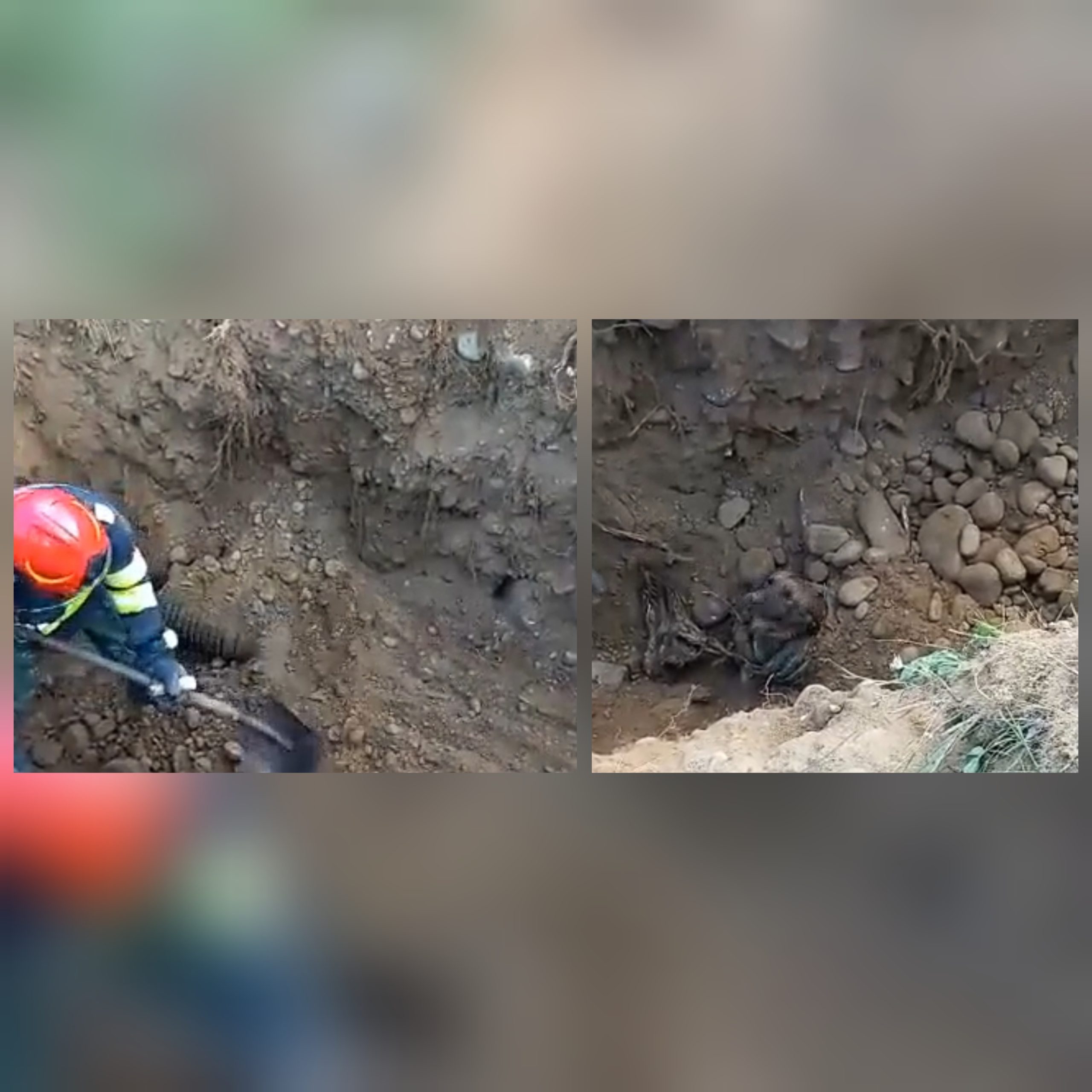 VIDEO| Intervenție impresionantă a pompierilor hunedoreni pentru salvarea unei cățelușe rămasă captivă într-o conductă de deversare