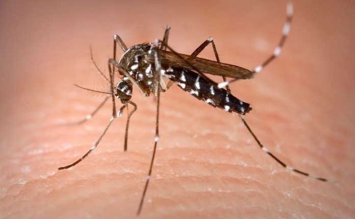 Cum să vă protejați de țânțari