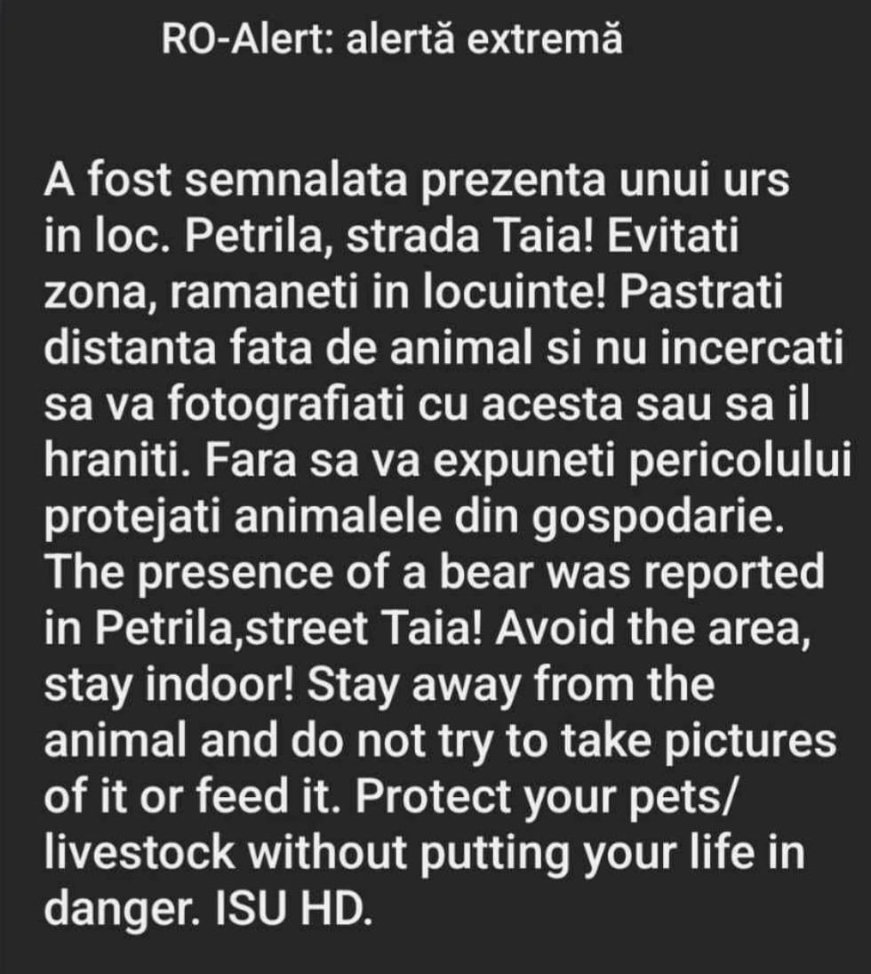Mesaj Ro-Alert pentru un urs la Petrila