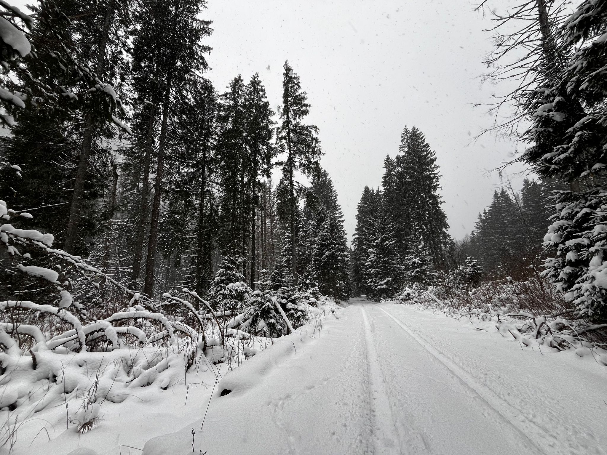 Iarna în Parcul Național Retezat poate fi periculoasă